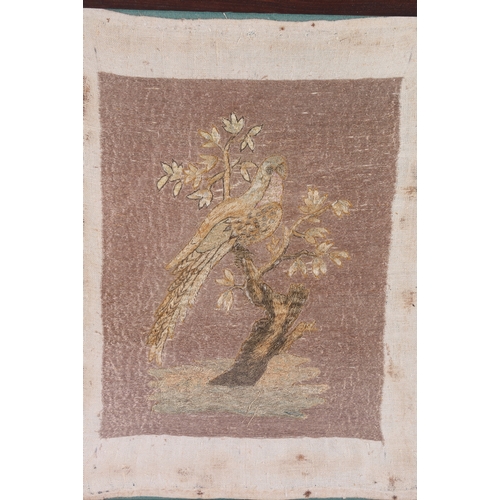 321 - Early antique needlework on linen depicting a bird resting on branch within a rosewood frame 41cm x ... 