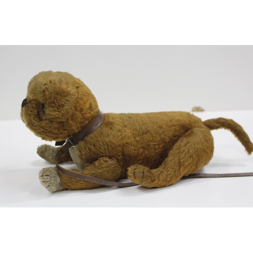 320 - An Unusual Steiff straw filled mohair dog soft toy, possibly a pug, with button ear and leather coll... 