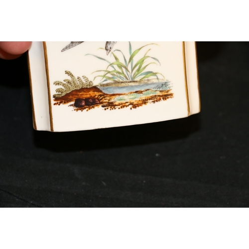 246 - 19th century Continental porcelain tea cannister and cover decorated with hand painted bird and inse... 