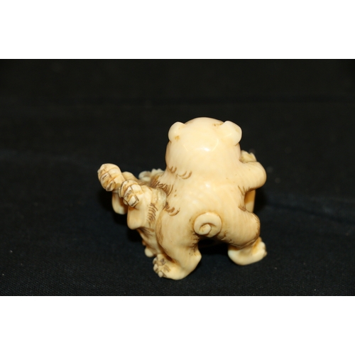 354 - An Ivory netsuke of two puppies playing, 4cm, 26g, unsigned Meiji/Taisho