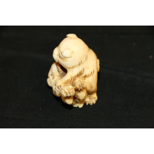 354 - An Ivory netsuke of two puppies playing, 4cm, 26g, unsigned Meiji/Taisho