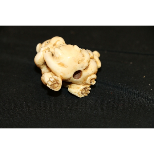 354 - An Ivory netsuke of two puppies playing, 4cm, 26g, unsigned Meiji/Taisho