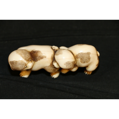 355 - An ivory okimono of two puppies playing, one biting the others hind quarters, unsigned, Meiji