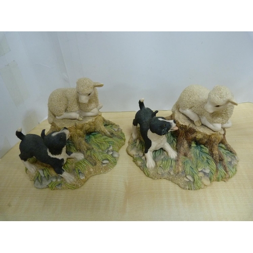 12 - Four Border Fine Arts models to include puppy and robin, two sheep, Jenny and Penny.