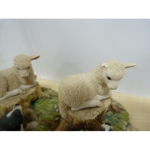 12 - Four Border Fine Arts models to include puppy and robin, two sheep, Jenny and Penny.