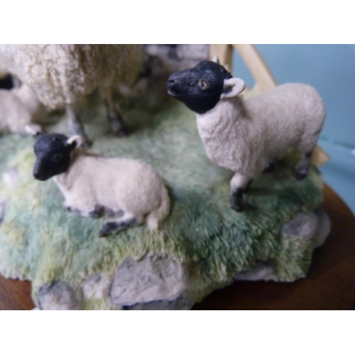 317 - Border Fine Arts figure of a sheep with three lambs.