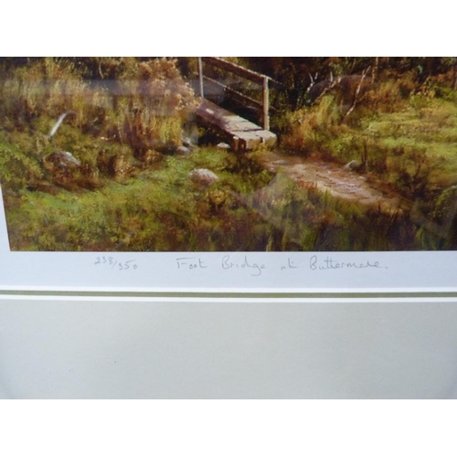 46 - PAUL HARLEY, Footbridge at Buttermere, limited edition signed print, 238/350.