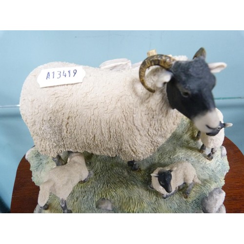 318 - Border Fine Arts figure of a sheep with three lambs.