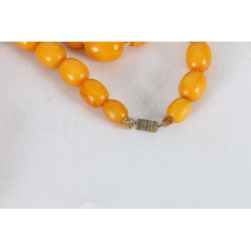 150A - Large strand of graduated butterscotch amber style beads, the largest bead approximately 27mm x 22mm... 