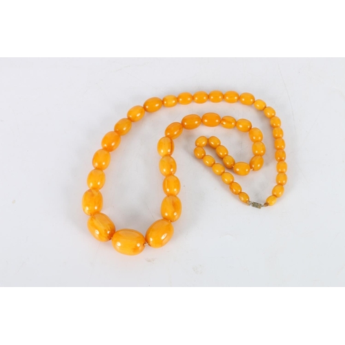 150A - Large strand of graduated butterscotch amber style beads, the largest bead approximately 27mm x 22mm... 