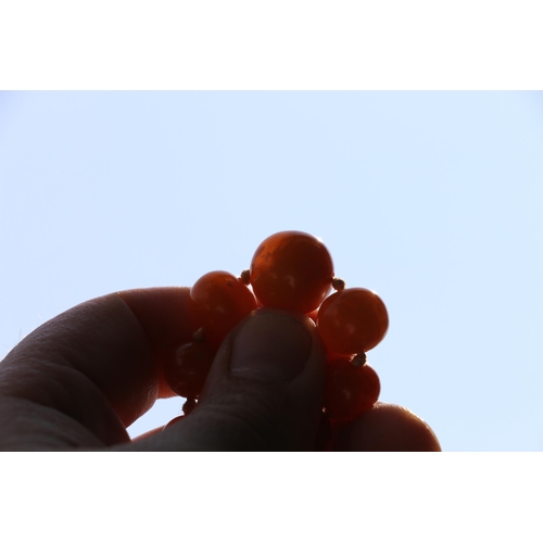 150B - Three strands of amber style beads, 66g gross