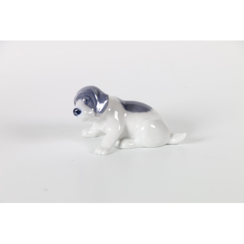 11 - Royal Copenhagen of Denmark, porcelain model of Siamese Pointer Puppy, number 1311.