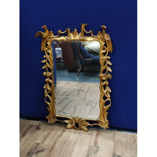 620 - George III design 19th century gilt wood wall mirror, decorated with Griffins and floral scrolls. 10... 