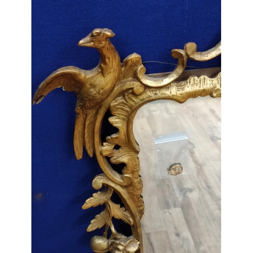 620 - George III design 19th century gilt wood wall mirror, decorated with Griffins and floral scrolls. 10... 