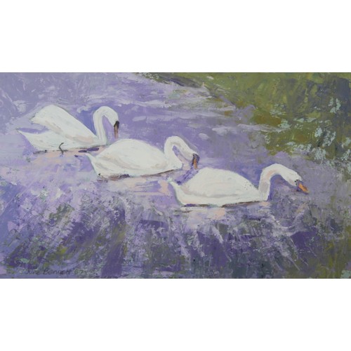 285 - JUNE BENNETT (CUMBRIAN 1935-2013).Three swans.Oil on board.21cm x 36cm.Signed, dated (19)87. Inscrib... 