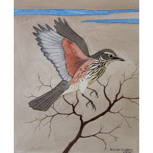 290 - RALSTON GUDGEON (SCOTTISH 1910-1984).Redwing alighting on a branch.Watercolour.30.5cm x 25cm. Signed... 