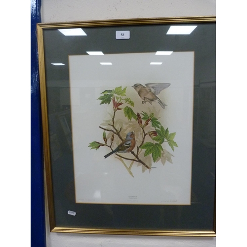 64 - JANET MARSHALL, Chaffinch, limited edition print, 343/1000.