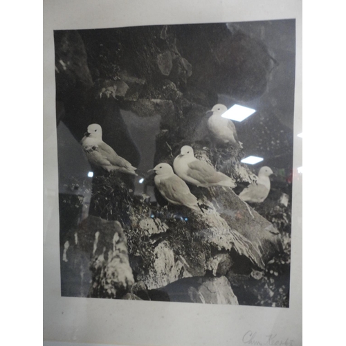 87 - Wall hanging made with Medieval tile fragments reputedly from Lincoln Cathedral, three photographs i... 