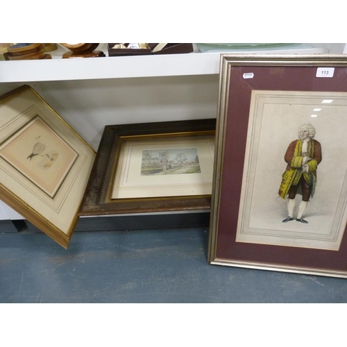 113 - Mr Cooke as Sir Pertinax MacSycophant, print, picture of a common gull, modern picture signed DM, an... 