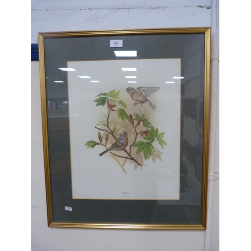64 - JANET MARSHALL, Chaffinch, limited edition print, 343/1000.