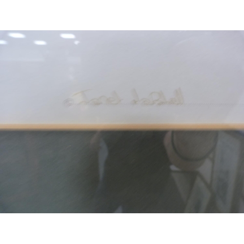 64 - JANET MARSHALL, Chaffinch, limited edition print, 343/1000.