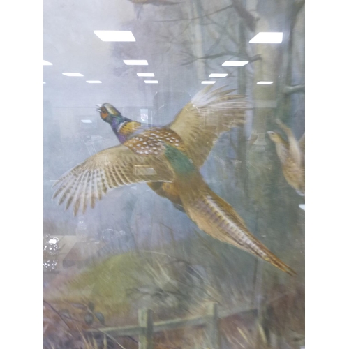 66 - AFTER ROLAND GREEN, flying pheasants, chromolithograph, from an original dated 1924.