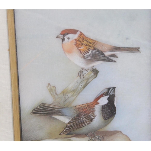 351 - Indian gouache painting on marble of two sparrows, 14.5cm x 10cm.