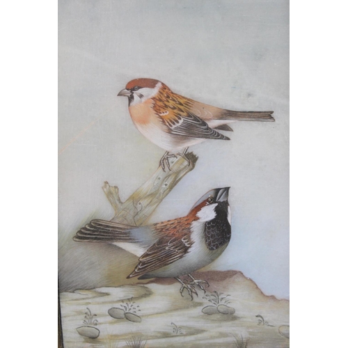 351 - Indian gouache painting on marble of two sparrows, 14.5cm x 10cm.