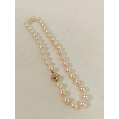 71 - Cultured pearl choker necklet with equal sized beads on 18ct yellow and white gold snap.