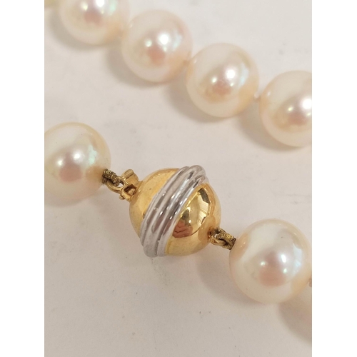 71 - Cultured pearl choker necklet with equal sized beads on 18ct yellow and white gold snap.