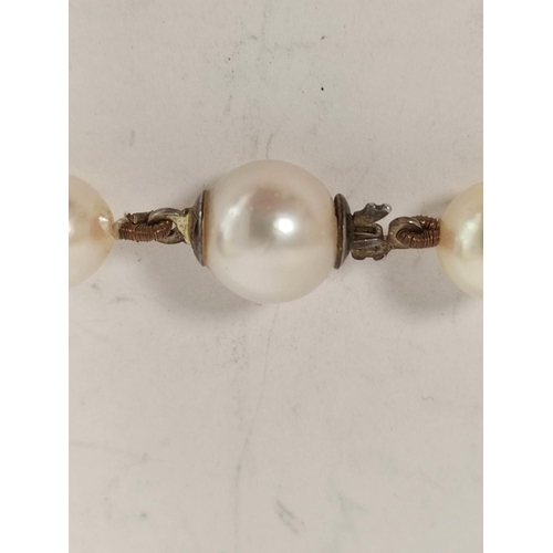 75 - Cultured pearl necklace, equal sized, on silver hook snap.