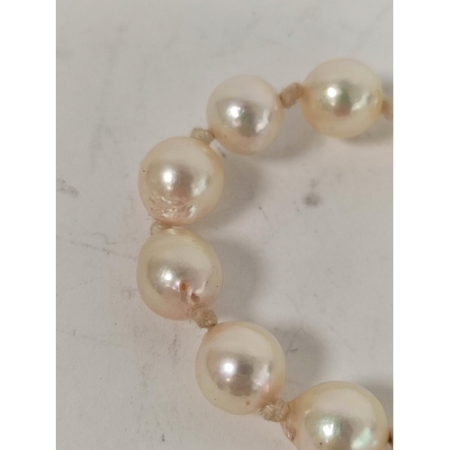 75 - Cultured pearl necklace, equal sized, on silver hook snap.