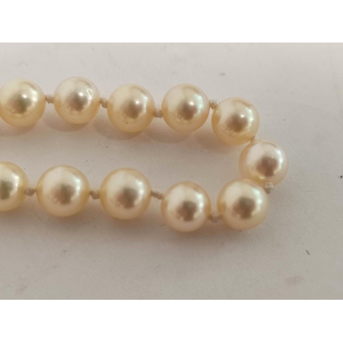 77 - Necklace of equal sized cultured pearls, opera length on diamond set gold ball snap '.750'.