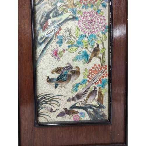 165 - Large framed Chinese porcelain plaque depicting a cockerel and other birds in flowers and foliage. W... 