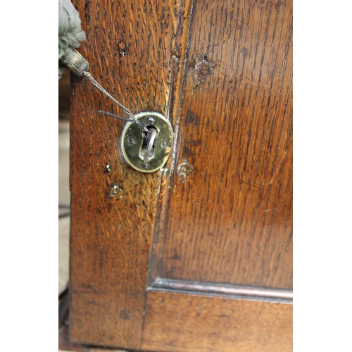 208 - Small Georgian oak hanging cupboard of rectangular form, the panelled door opening to reveal three s... 