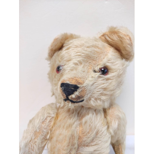 48 - Two early 20th century mohair teddy bears with glass eyes and articulated arms (2)