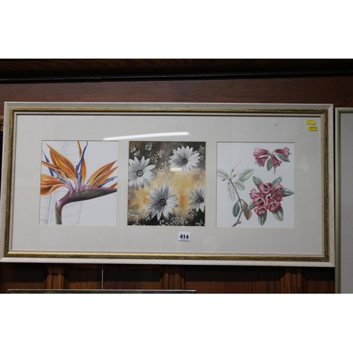 414 - CHRISTINE RUTTER (of Edinburgh), botanical study triptych, watercolour, frame size 42cm x 86cm.