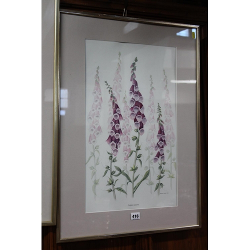 416 - CHRISTINE RUTTER (of Edinburgh), Digitalis Purpurea botanical study, watercolour, signed and dated 2... 