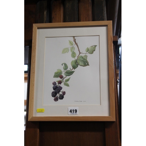 419 - CHRISTINE RUTTER (of Edinburgh), Brambles botanical study, watercolour, signed and dated 2012, frame... 