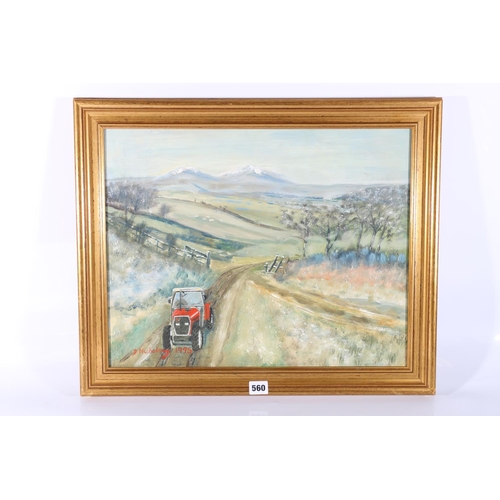 560 - DAVID NICHOLSON of Glenrothes, Frosty Morning Lomond Hills, oil on board, signed and dated 1995, lab... 