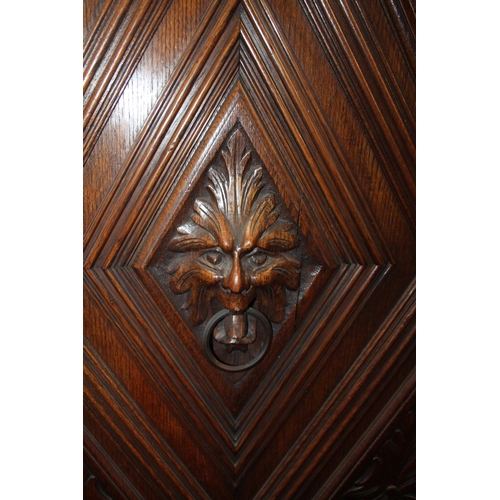 715 - Heavily carved oak single drawer wardrobe, with lion head to the cornice and carved central panel.