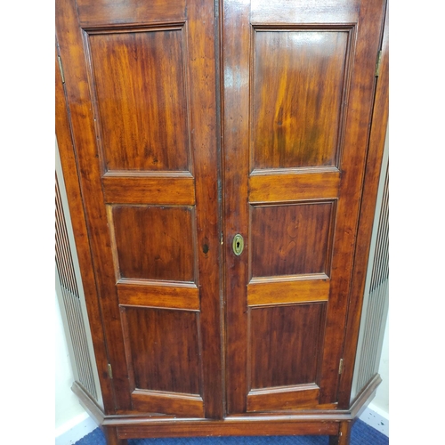 543 - 19th century mahogany corner cupboard with two panelled doors enclosing a shelved interior, on a fix... 