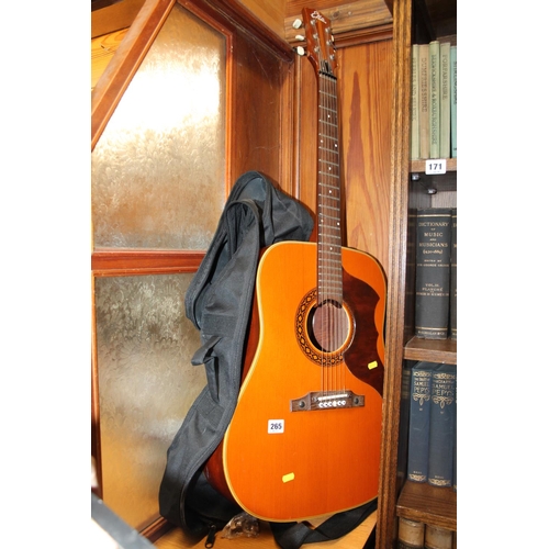 265 - Echo acoustic guitar.