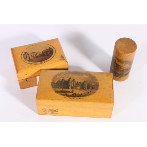 10 - Three Mauchline ware boxes.