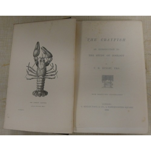 93 - HUXLEY T. H.  The Crayfish, An Introduction to the Study of Zoology. Large paper ltd. ed. 89/250. Fr... 