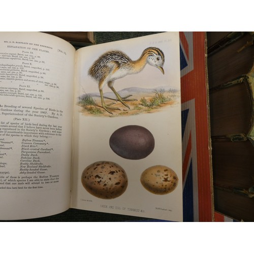 94 - ZOOLOGICAL SOCIETY OF LONDON.  Proceedings of the Scientific Meetings. A run from 1868 to 1880. Many... 