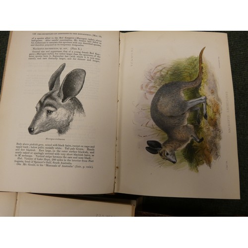 94 - ZOOLOGICAL SOCIETY OF LONDON.  Proceedings of the Scientific Meetings. A run from 1868 to 1880. Many... 