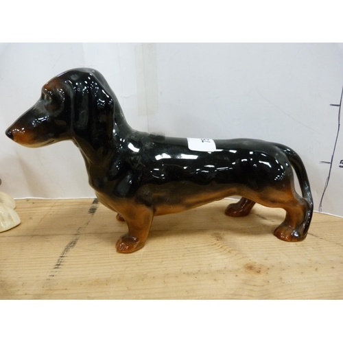 75 - Beswick figure of a Dachshund, no. C46, also a Beswick figure of an Afghan Hound, 'Hajubah of Davlen... 