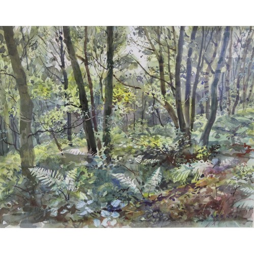 239 - Alistair Brewis (1937-2014).A woodland glade.Watercolour.39cm x 49.5cm. Signed.Proceeds of sale of t... 