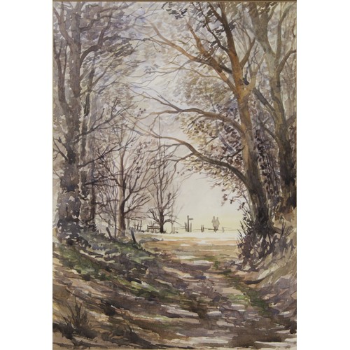 251 - Ian Reed (Modern British).A green lane.Watercolour.34cm x 24cm.Signed. Dated (19)96.... 